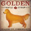 Chien d'or au concours-1611626847-1629782904-1629782911