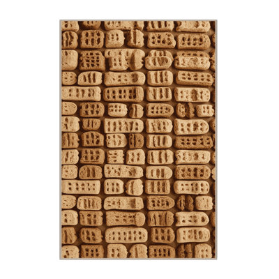  Tapis lavable Biscotti Desserts
