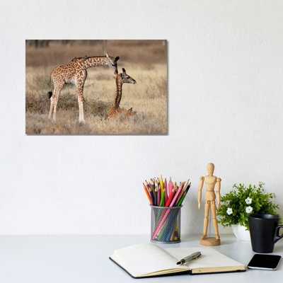 Giraffe Babies Greeting by Mogens Trolle - Wrapped Canvas Print