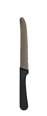 Update International Serrated Steak Knife