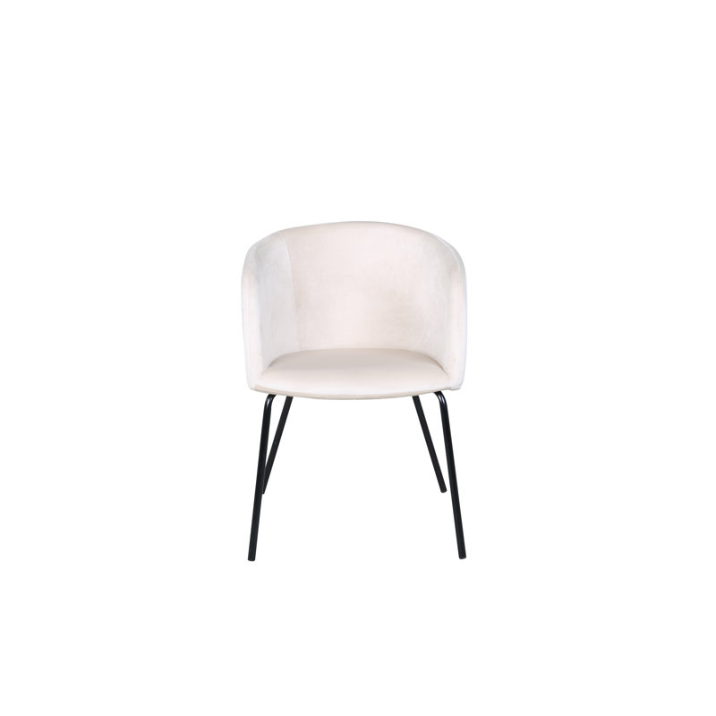 Dolson 49cm H Upholstered Armchair, White