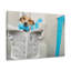 Jack Russell Terrier-1957038398
