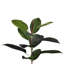Solerno Faux Tree in Pot Liner-20583852