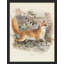 «Countryside Farmhouse Forest Fox», reproduction d'art sur toile, paysage naturel pour salon, encadrée sur papier-93487919-93487917