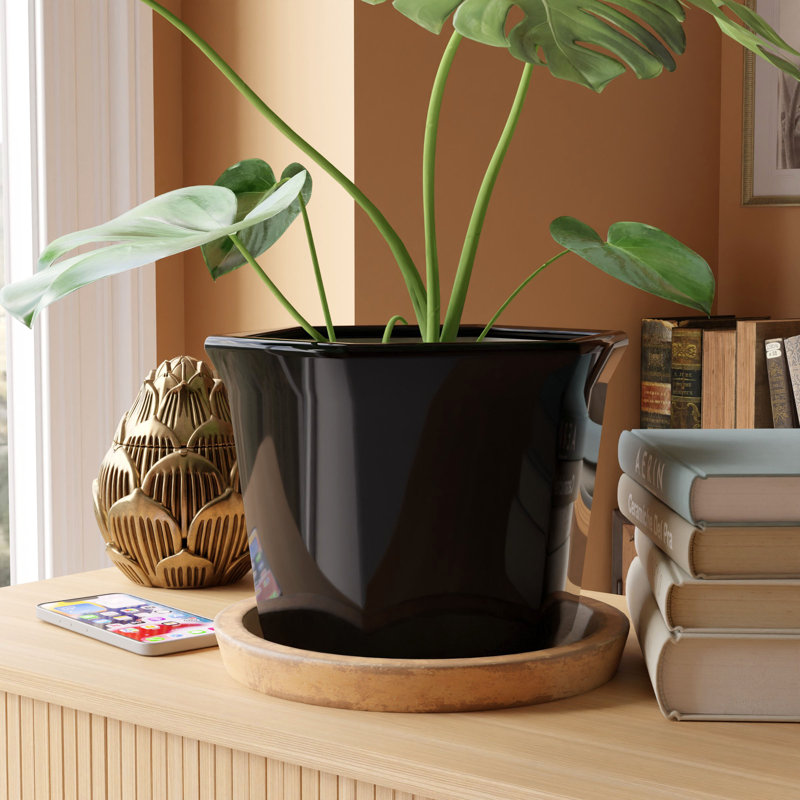 Huang Handmade Ceramic Pot Planter, Black
