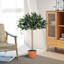 90cm Faux Olive Tree in Pot