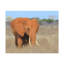 No Frame Print on Canvas-1211295887