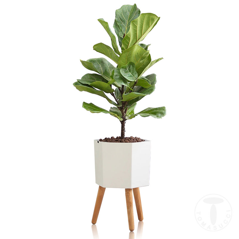 Wood Plant Pot