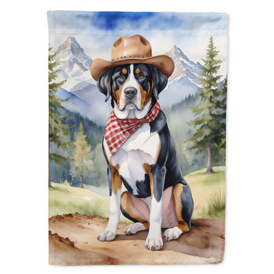 Drapeau Cowboy Welcome House