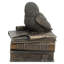 Coffret 4,72 pouces H Bronze Snow Owl On