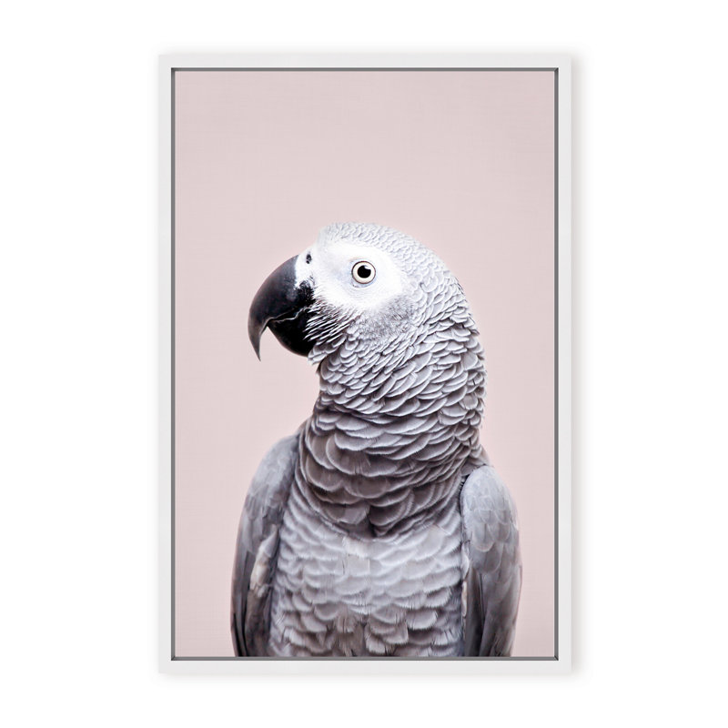 Nature Inspired African Gray by  - Picture Frame Photograph on Paper, Framed Canvas, 36" H x 24" W x 2.375" D, White