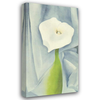 Calla Lily on Grey, 1928 MCG-PF1067