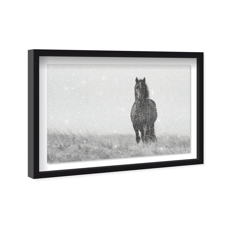 Lone Stallion I Print by Oliver Gal, 25.5" H x 37.5" W, Black Shadowbox