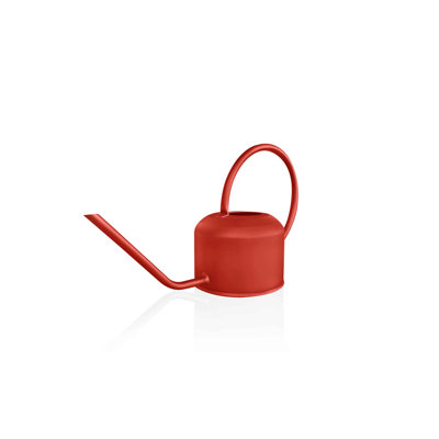 Metal Watering Can