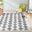 Tapis ivoire / noir Castonguay-1343499568