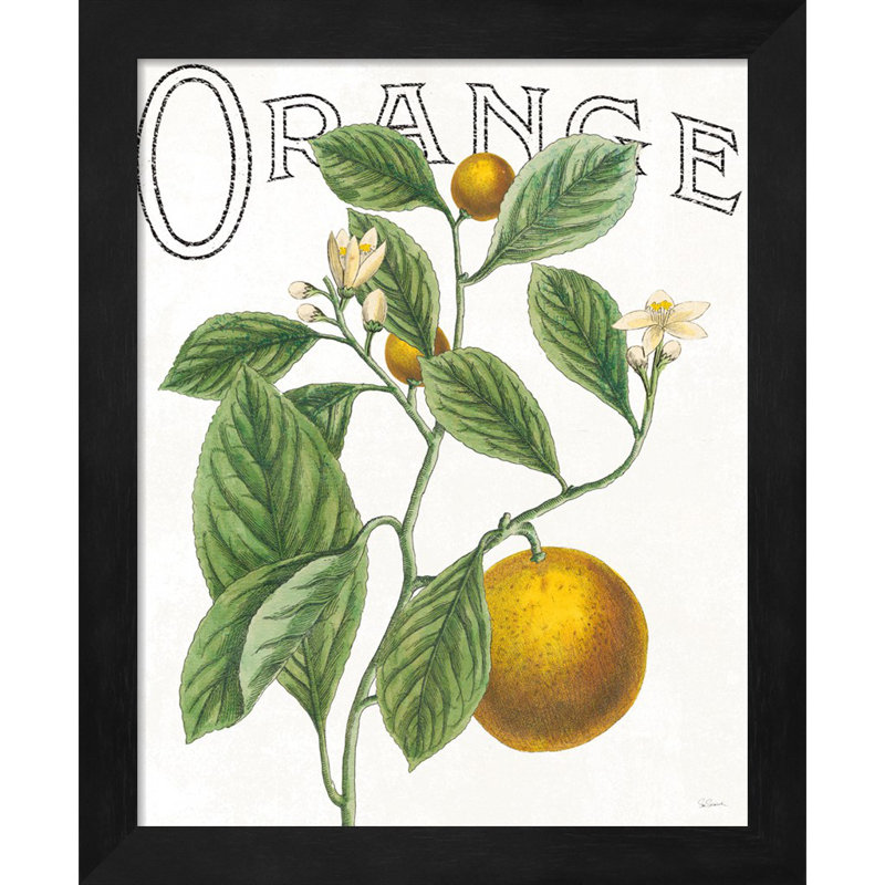 «Classic Citrus» par Sue Schlabach, art encadré (ensemble de 2)