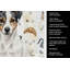 Serviette de cuisine Coffee Bar-1234934774