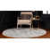 Rosamonde Oriental Indoor Rug
