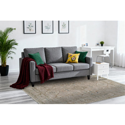Oriental Indoor Rug