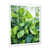Cadre simple blanc