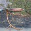 Bain d'oiseaux Friedewald-644874592