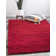 Angeline Indoor Rug
