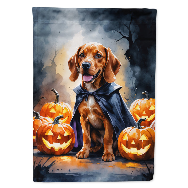 Drapeau de jardin chiot Halloween, Vizsla