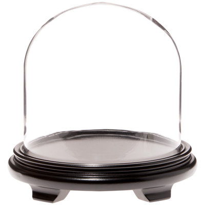 Brighton 9.75" x 10" Glass Display Dome Cloche