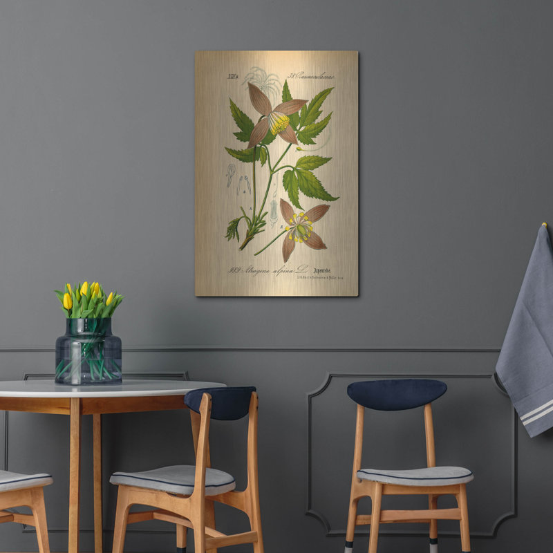 «Atragene Alpina» par Art Licensing Studio, art mural en métal de luxe, 24 po x 36 po
