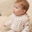 Wrendale Designs 'Little Forest' Woodland Animal 4 Piece Bibs & 6 Pair Socks Set