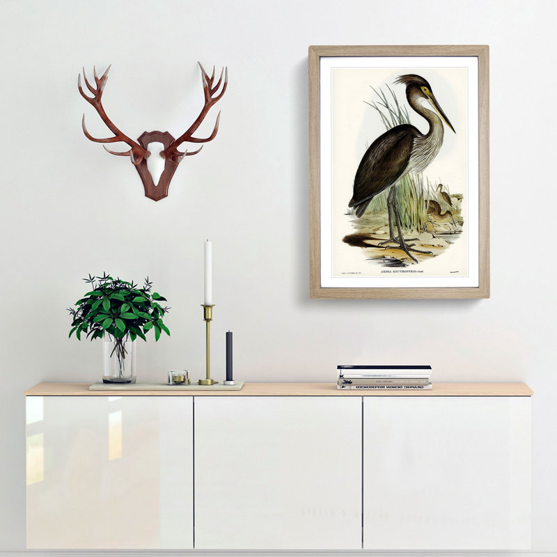 Great-Billed Heron by Elizabeth Gould - Picture Frame Painting Print, Oak Framed, 36cm H x 27cm W x 2cm D