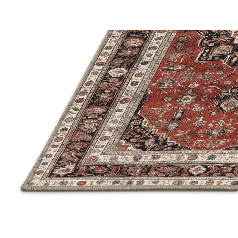 Tapis brun lavable à la machine, Rectangle 2 pi x 3 pi
