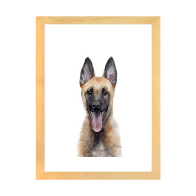 Chiot malinois belge par Watercolor Luv - reproduction d'art