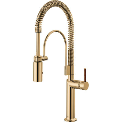 Odin® Semi-Professional Kitchen Faucet