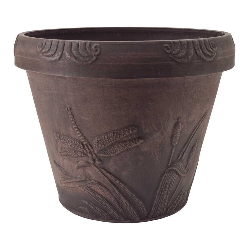 Roderick Planter, Chocolate