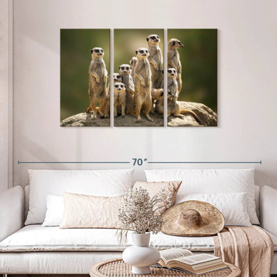 Brampt Meerkat Family