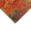 Tapis intérieur / extérieur Shelton Garden Birds-1645288234