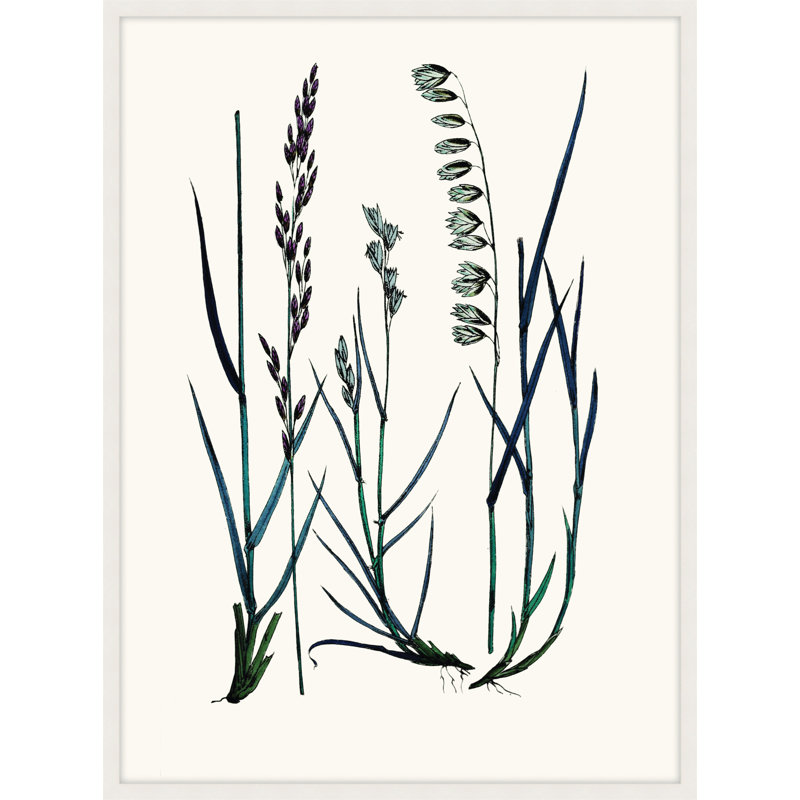 Careful In Contemplation 5 Print, 28" H x 21" W x 1" D