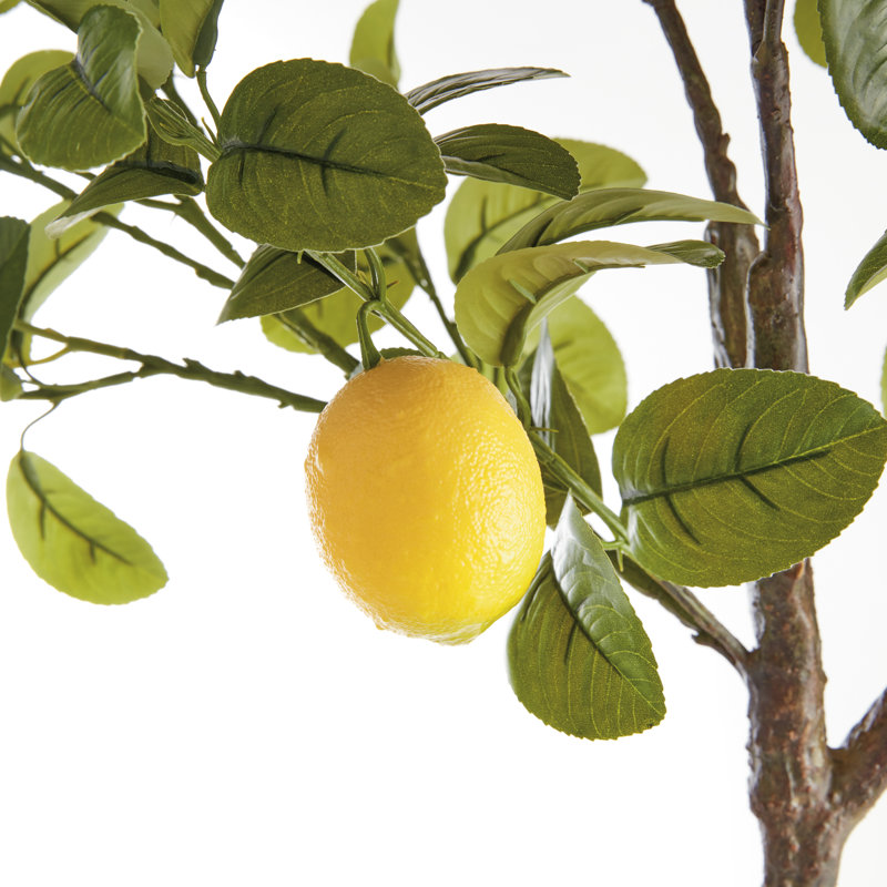Citrina artificielle Citrina, 33"