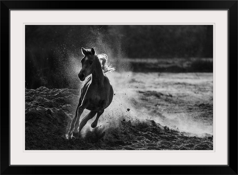 «Straub Take Off» par Mahomet Alnaser - reproduction de photo, Cadre noir, H 28 po x l 38 po x P 1 po