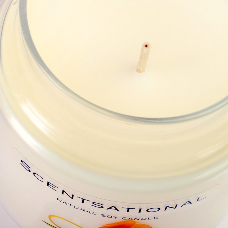 Spring Clean Scented Jar Candle with Glass Holder