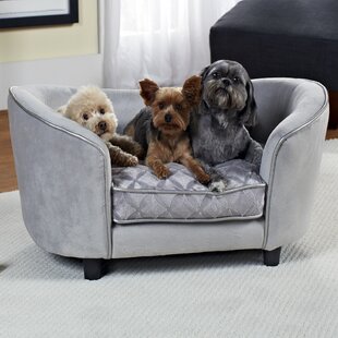 PawHut Raised Dog Sofa, Elevated Pet Sofa for Small and Medium Dogs with  Removable Seat and Back Cushions, Anti-Slip Pads, Gray