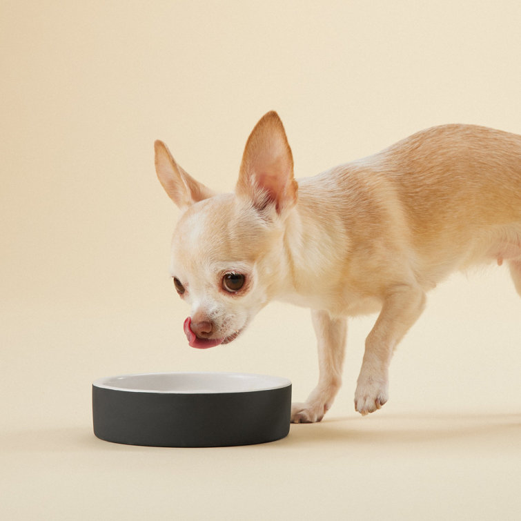 PAIKKA Medium Black Ceramic Dog Water Bowl + Reviews