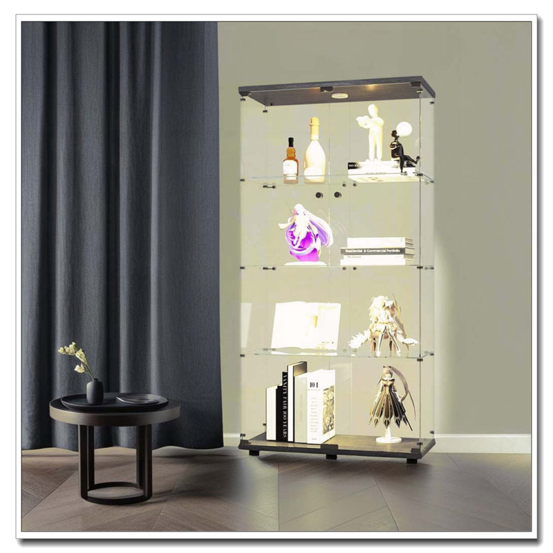 Armoire lumineuse en verre à deux portes avec 4 tablettes et télécommande, Noir