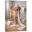 «Playful Golden Retriever», impression sur toile, impression sur toile encadrée-126031938-126031932