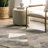 Jacaria Abstract Gray/Beige/Black Area Rug-1468245599