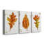 Autumn Leaf Study II - Ensemble de 3 peintures sur toile tendue-1178369220