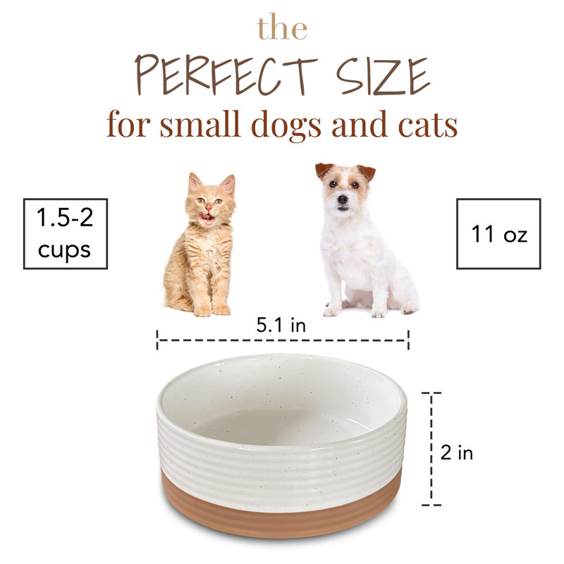 Petit bol pour animal de compagnie - plat pour nourriture / eau