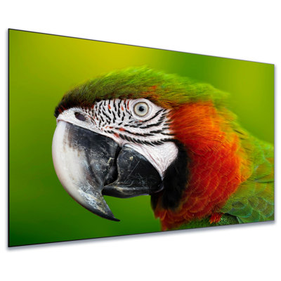 120" Fixed Frame ALR Projector Screen for UST Projectors, 16:9 Ambient Light Rejecting Home Theater Screen