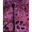 Overdyed Hand-Knotted Wool Modern-Contemporary Purple Runner 2' 6" x 12' 5"